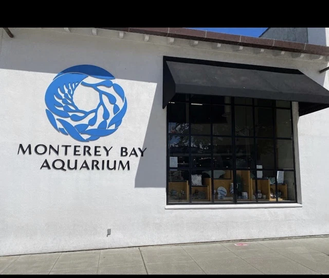 monterey bay aquarium Ticket