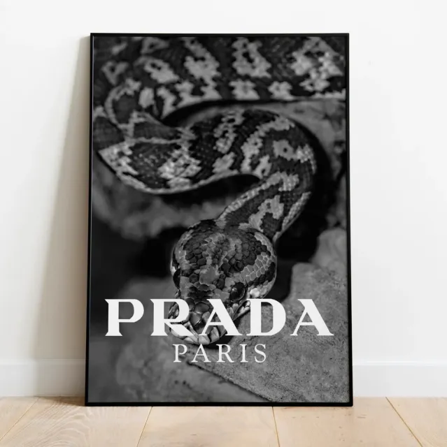 Luxury Fashion Snake Wall Art Poster Premium Quality Choose your Size