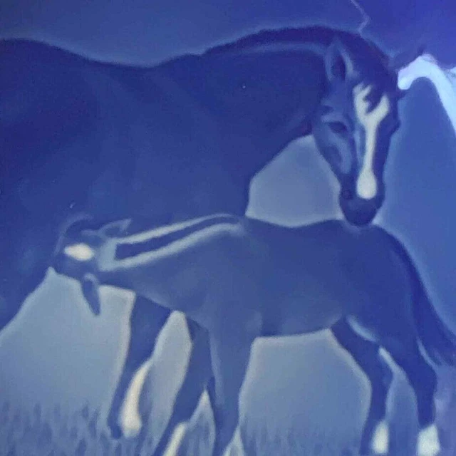 Copenhagen Bing & Grondahl Mothers Day Plate 1972 Horses Blue Porcelain