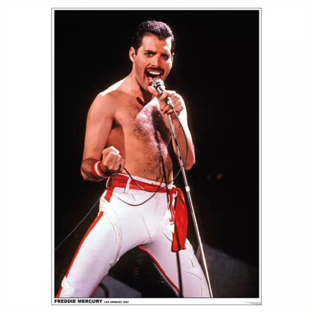 Queen Poster Freddie Mercury 59,5 x 84 cm