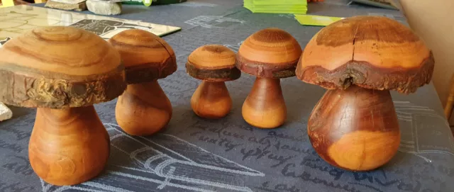 Holzpilze geschnitzt - 5 Stück verschiedene Größen - handarbeit - natur