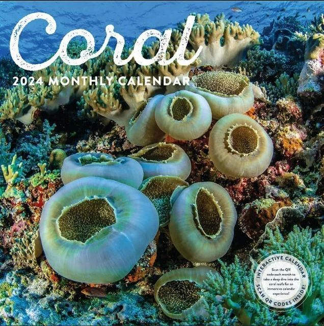 CORAL 2024 Wall Calendar Brand New 01038 9.77 PicClick