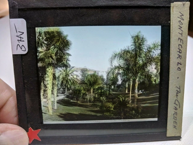 Colored Glass Magic Lantern Slide BHT Prince of Monaco The GARDEN