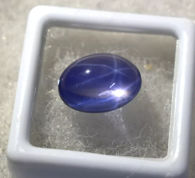 Natural Beautiful Blue Star Sapphire 10 Ct Certified Cabochon Gemstone.