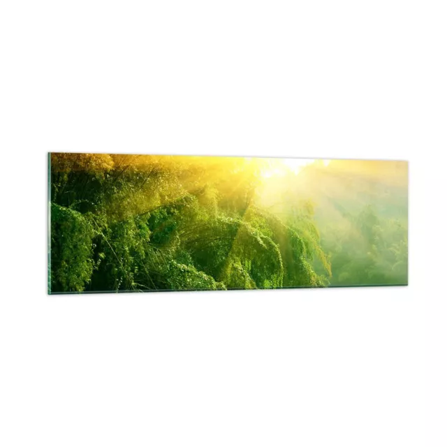 Glass Print 90x30cm Wall Art Picture Tropics Trees River Small Decor Artwork