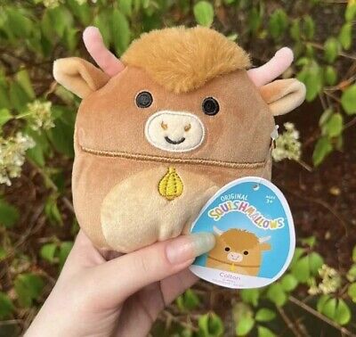 squishmallow longhorn cow