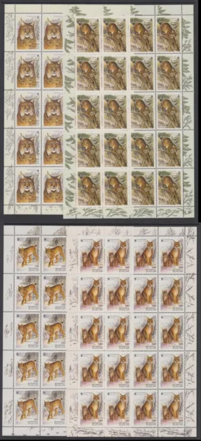 BELARUS - Wwf,  2000 Wild Animals, Eurasian Lynx, Set of 4 Sheets MNH / RRBA279