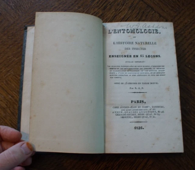 Initiation à L'Entomologie Tome II - R. Jeannel, Bon État, Livre Ancien Sciences Naturelles