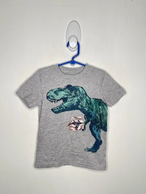 Carters Dinosaur Valentines Shirt Boys Size 4T Gray Short Sleeve T-Rex Be Mine