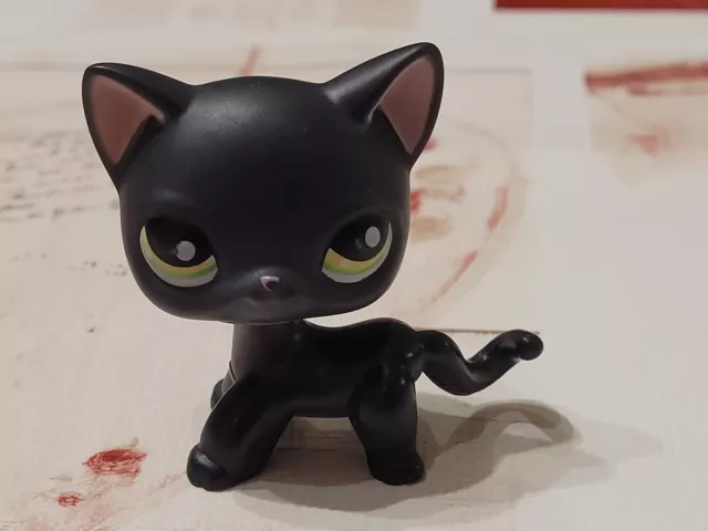 Lps #336 Littlest Petshop Original Authentic Chat Europeen European Cat Hasbro