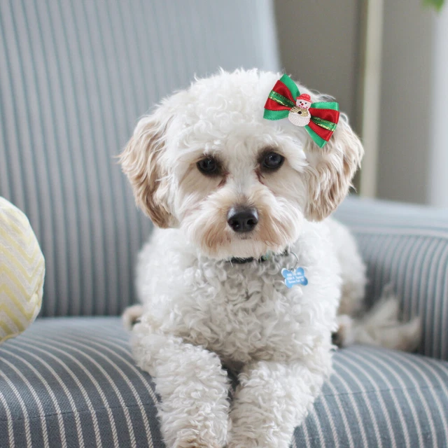 10 piezas de lazos de pelo de perro con clips regalos de Navidad para perros