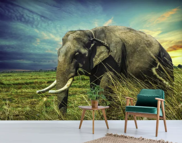 3D Elefant Prairie A032 Tier Tapete Wandbild selbstklebend abnehmbare Wendy