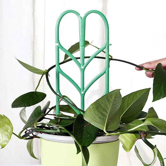 Cadre d'escalade Support d'escalade Support pour plantes Tige de fixation 8