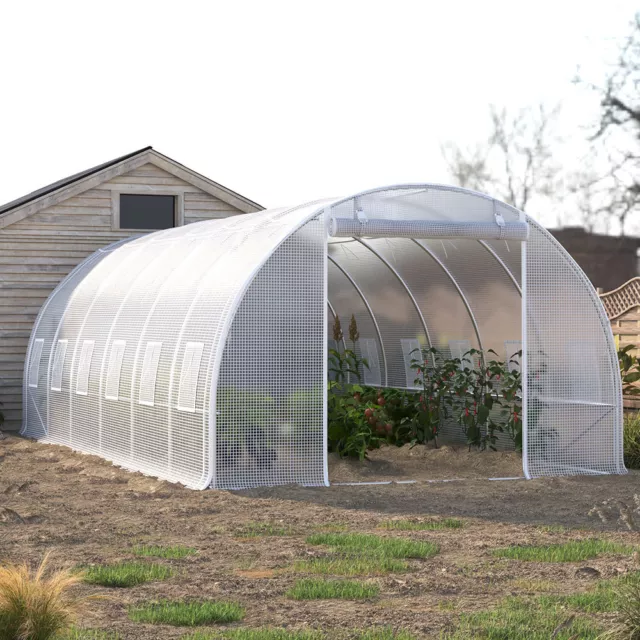 3 x 2, 4 x 3, 6 x 3M Reinforced Walk-in Polytunnel Garden Greenhouse Steel Frame