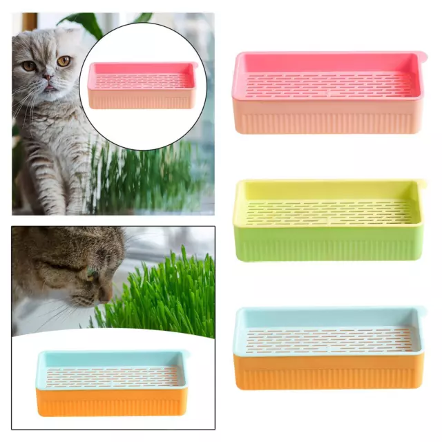 Caja hidropónica para hierba gatera, mascota, gatos, hierba, sin suelo,