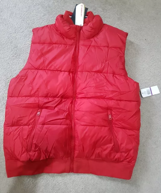 Veste Homme Tommy Filfiger Gilet Down Neuve Avec Étiquettes Gilet Chauffant Corps