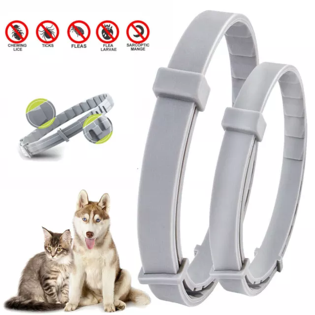 Dog Cat Collar Anti Flea and Tick Neck For Pet  8 Months Protection Adjustable