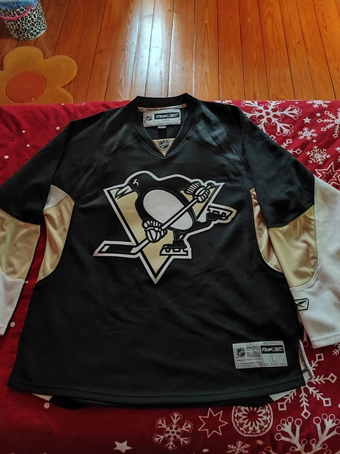 MAILLOT HOCKEY GOTHIQUES Amiens #60 Picardie Fernande Jersey Vintage - L EUR 44,90 - FR