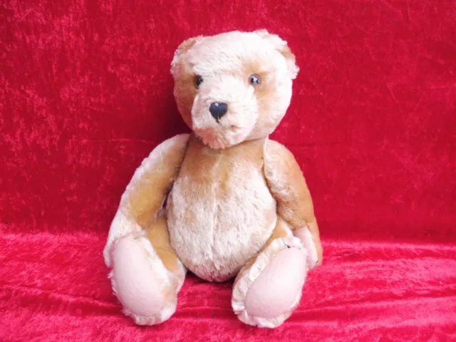 Teddy Bear, Hermann, Beautiful, High Quality Bear