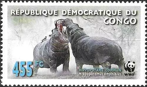 Timbre Animaux Mammifères Hippopotames Congo RD 1815 ** de 2006 (67900DT)