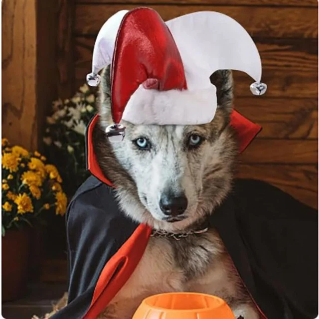 Panno peluche abiti cuccioli al vento cappello di Halloween per cane cane cane