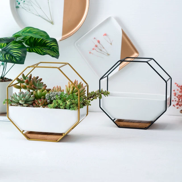 Octagonal Storage Rack Wall Hangings Wall Mounted Planters Flowerpot 2
