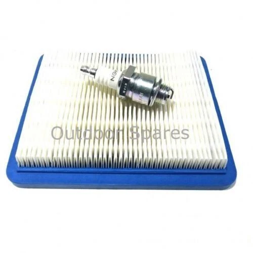 HAYTER HARRIER 48 PETROL LAWNMOWER | In Carlisle, Cumbria