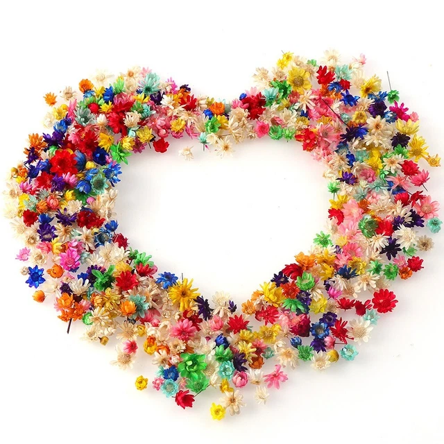 Mini Dried Flowers Multi-Color 1 Pack/100 PCs For The Nail Art Decoration