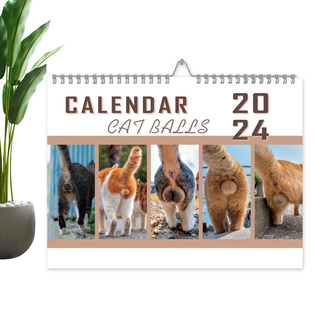 2024 CALENDAR FUNNY Cat Balls Calendar Wall Calendar Monthly Planner