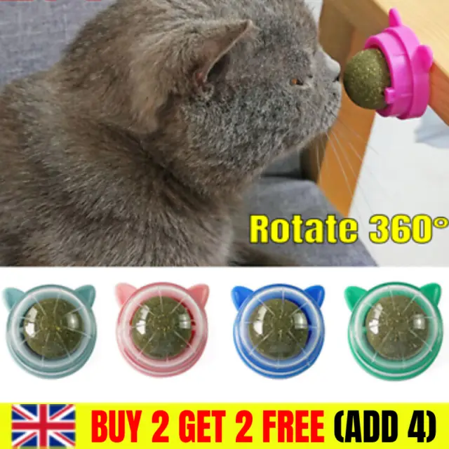 360°Rotatable Catnip Ball Cat Treat Snack Licking Balls Toy Kitten Pet Molar Toy
