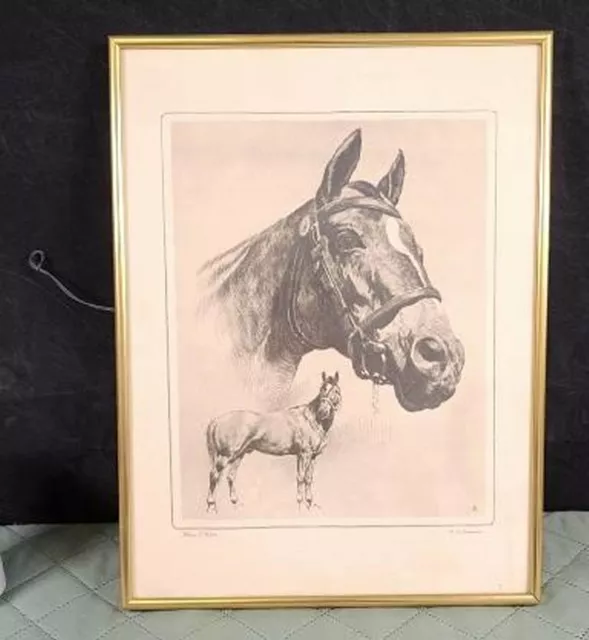 R. H. PALENSKE ART PRINT Famous HORSE RACE WINNER MAN O' WAR