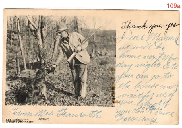 109::   ca.1901 RPPC Postcard: Quail Hunter Red Irish Setter Hunting Dog Pointer