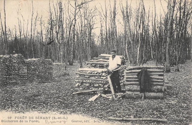 Cpa 91 Foret De Senart / Bucheron De La Foret / Metier
