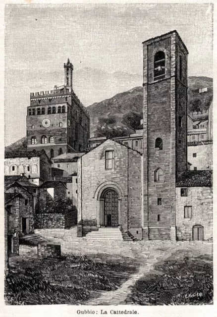 Gubbio: Duomo. Stampa antica di 120 anni + passepartout. 1901