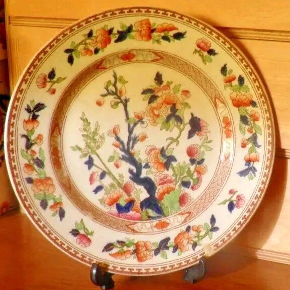 Indian Tree Kitchenware INDIAN TREE 8& /20 cm Dinner/ Side Plate - Opaque China by S Hancock ...