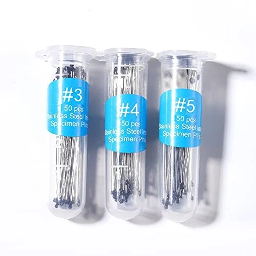 Stainless Steel Specimen Insect Pins With Epoxy Resin Head For Entomology Lab Di
