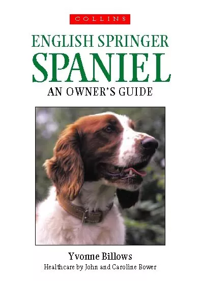 English Springer Spaniel: An Owner's Guide by Billows, Yvonne Paperback Book The