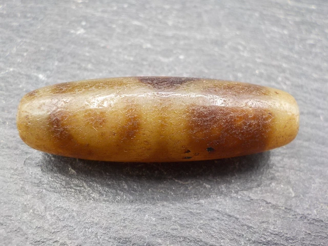 An Agate Dzi bead with a 2 Eye pattern from Tibet / Nepal.