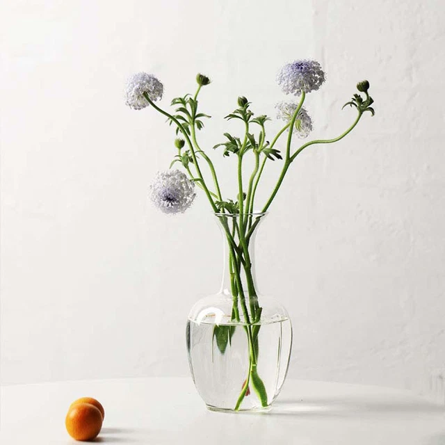 Style nordique Fleur Vase Décor Planteur Clair Décoratif Ornement Pot de