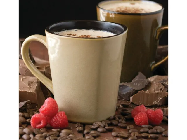 Chocolate Raspberry Cappuccino Mix Mixes 5 Pounds Free Shipping