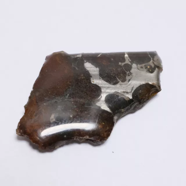 6g SERICHO Pallasite olive meteorite slices - from Kenya F260