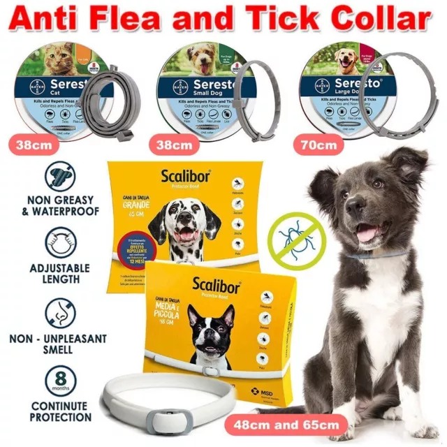 Respinge Collare per Cani Piccoli Fino38CM/8kg-Antiparassitario,8mesi Protezione