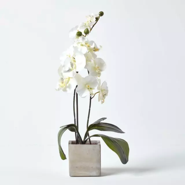 Artificial Orchid Flower With Cream Petals In Stone Vase