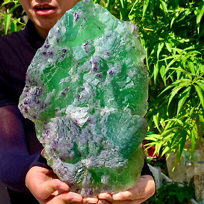 8.06LB  NATURAL GREEN FLUORITE Quartz CrystalCluster Mineral Specimen
