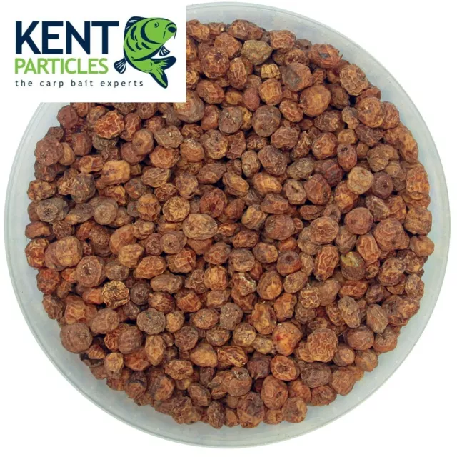 TIGER NUTS 5KG PREMIUM FISHING BAIT FISH - Sold By Maltbys Stores