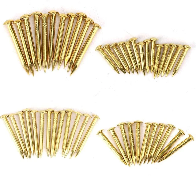 100Pcs Brass Escutcheon Tacks, round Head Brass Brad Nail Hardware Nail Assortme