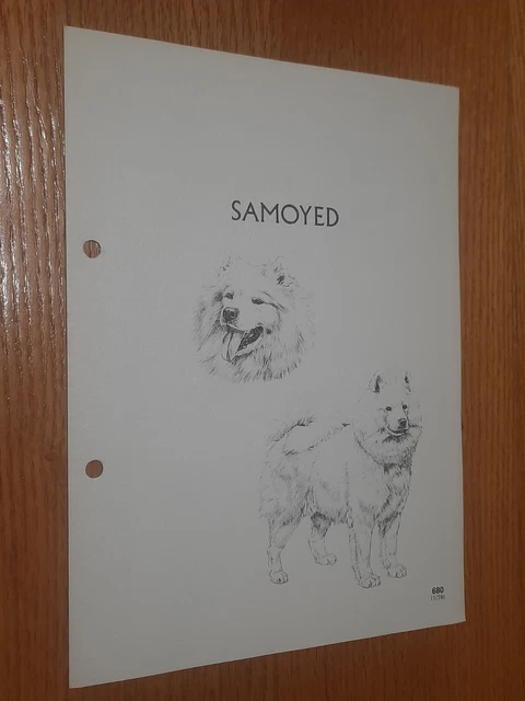 Samoyed Breed Supplement RAS Kennel Control Non-Sporting Group 6