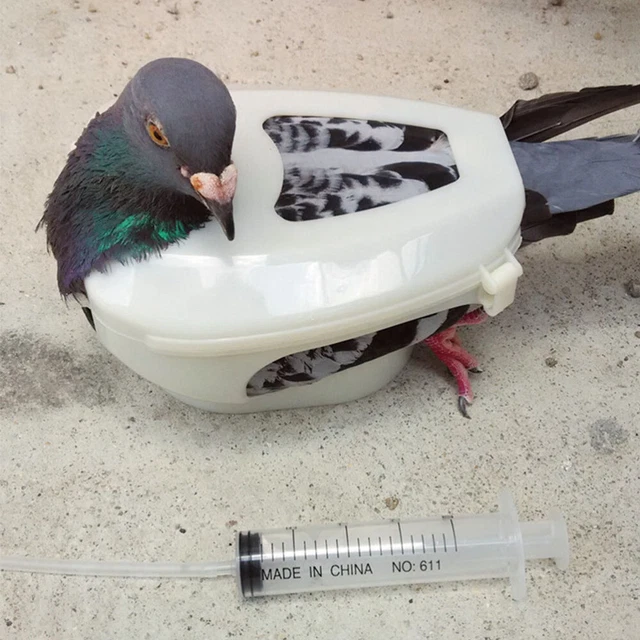SUPPORT D'INJECTION DE Pigeon Dispositif Retenue Pour Pigeons EUR 7,78 ...