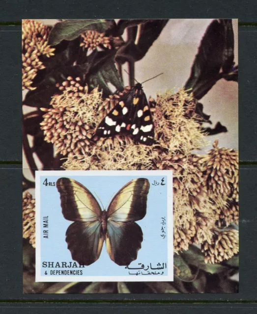 Y368  Sharjah  1972  butterflies   sheet   MNH