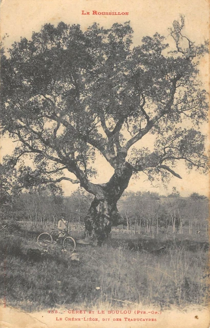 Carte Postale Ancienne – CERET – Route D'Espagne – Années 1900 – France